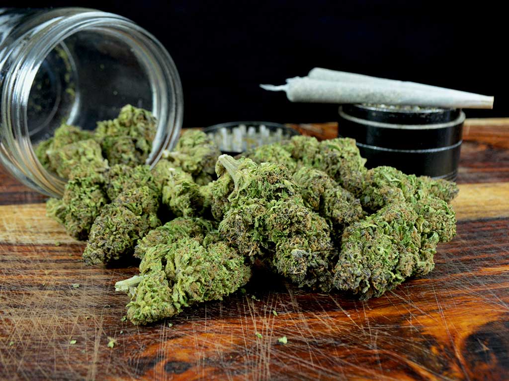 GA Hemp Processor and Grower License Bond
